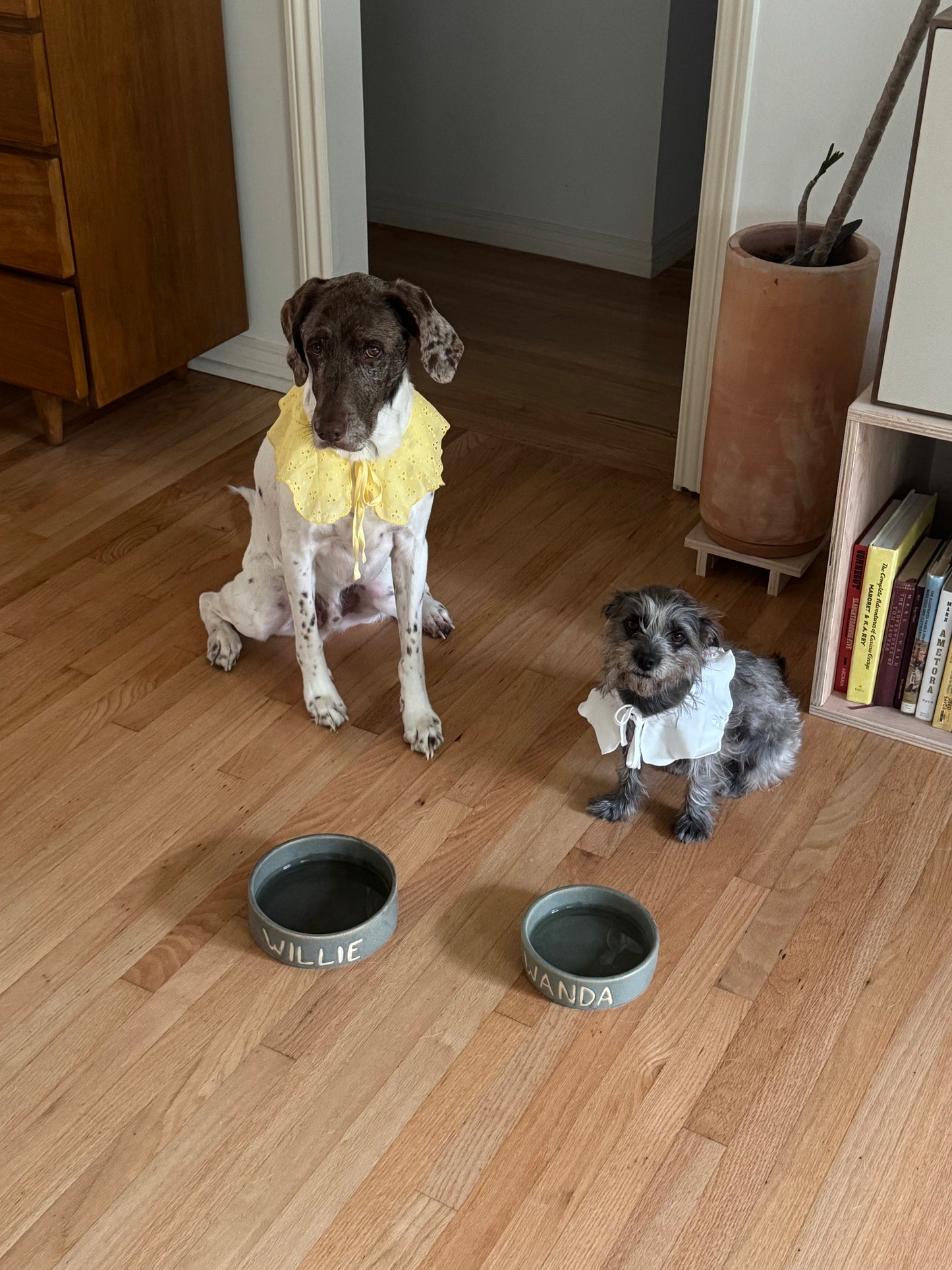 Custom Ceramic Dog Bowls